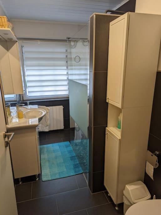 Ferienwohnung Philippi - Moselblick Mit Grosser Dachterrasse, 75 Qm, Hunde Willkommen Мерінґ Екстер'єр фото