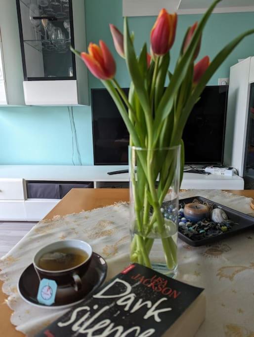 Ferienwohnung Philippi - Moselblick Mit Grosser Dachterrasse, 75 Qm, Hunde Willkommen Мерінґ Екстер'єр фото