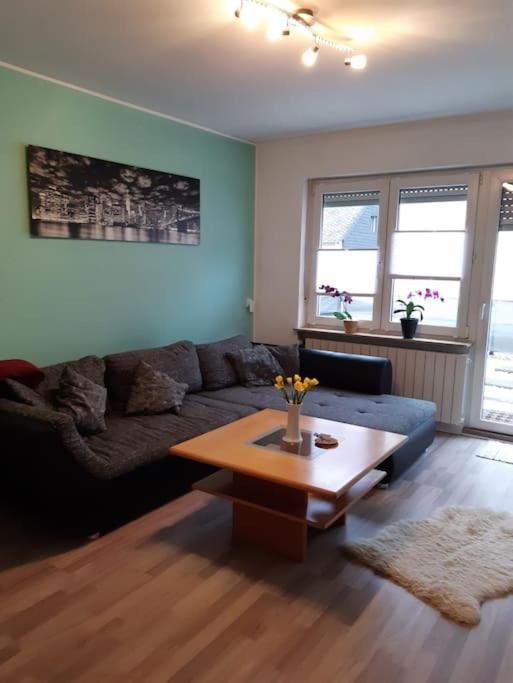 Ferienwohnung Philippi - Moselblick Mit Grosser Dachterrasse, 75 Qm, Hunde Willkommen Мерінґ Екстер'єр фото